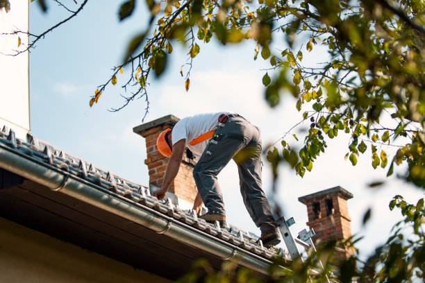 Best Residential Roofing Contractor  in Fruitport, MI