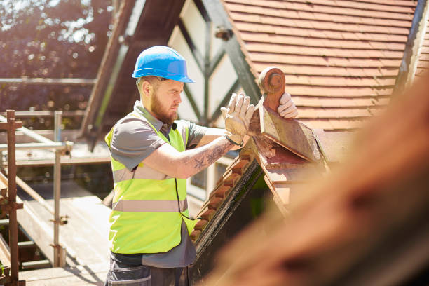 Best Gutter Installation and Roofing  in Fruitport, MI