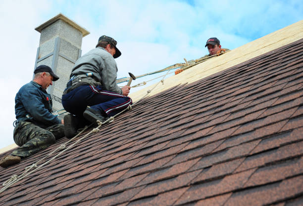 Best Metal Roofing Contractor  in Fruitport, MI